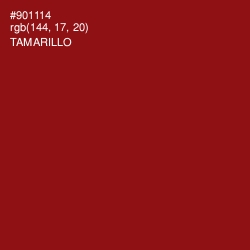 #901114 - Tamarillo Color Image