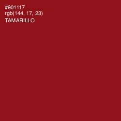 #901117 - Tamarillo Color Image