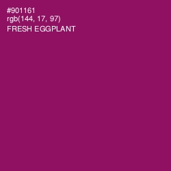 #901161 - Fresh Eggplant Color Image