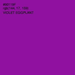 #90119F - Violet Eggplant Color Image