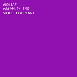 #9011AF - Violet Eggplant Color Image