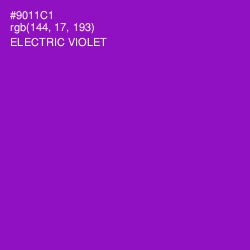 #9011C1 - Electric Violet Color Image