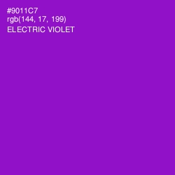 #9011C7 - Electric Violet Color Image