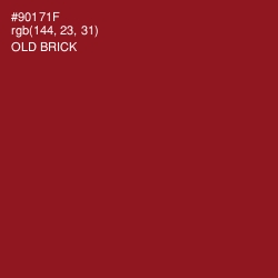 #90171F - Old Brick Color Image