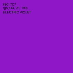 #9017C7 - Electric Violet Color Image