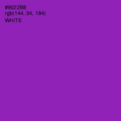 #9022B8 - Violet Eggplant Color Image