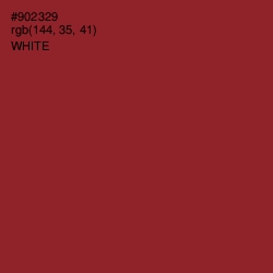 #902329 - Burnt Umber Color Image