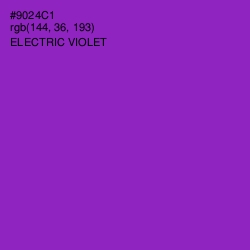 #9024C1 - Electric Violet Color Image