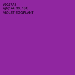 #9027A1 - Violet Eggplant Color Image