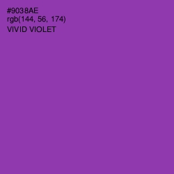 #9038AE - Vivid Violet Color Image