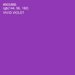 #9038B6 - Vivid Violet Color Image