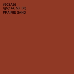 #903A26 - Prairie Sand Color Image