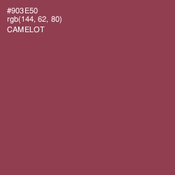 #903E50 - Camelot Color Image