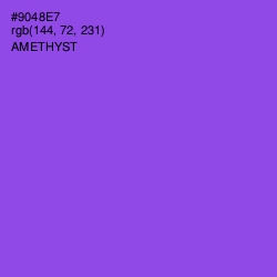 #9048E7 - Amethyst Color Image