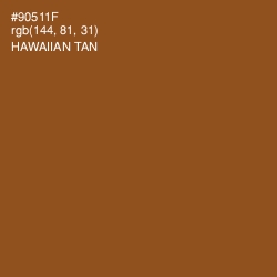 #90511F - Hawaiian Tan Color Image