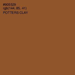 #905529 - Potters Clay Color Image