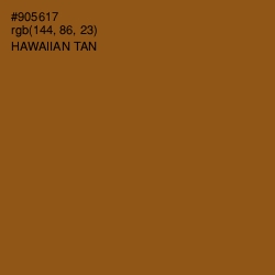 #905617 - Hawaiian Tan Color Image