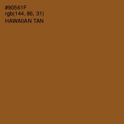 #90561F - Hawaiian Tan Color Image