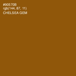 #90570B - Chelsea Gem Color Image