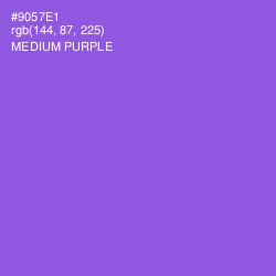 #9057E1 - Medium Purple Color Image