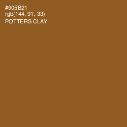 #905B21 - Potters Clay Color Image