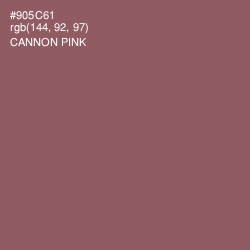 #905C61 - Cannon Pink Color Image