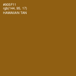 #905F11 - Hawaiian Tan Color Image