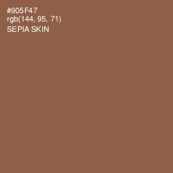 #905F47 - Sepia Skin Color Image