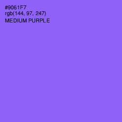 #9061F7 - Medium Purple Color Image