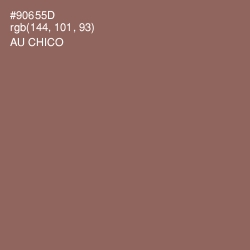 #90655D - Au Chico Color Image