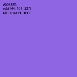 #9065E3 - Medium Purple Color Image