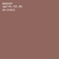 #90665F - Au Chico Color Image