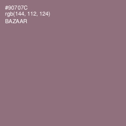 #90707C - Bazaar Color Image