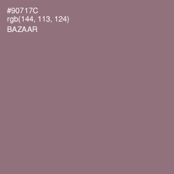 #90717C - Bazaar Color Image