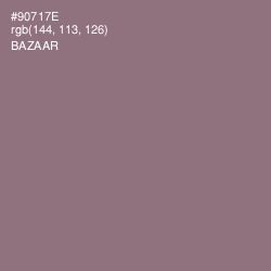 #90717E - Bazaar Color Image