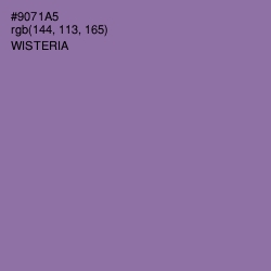 #9071A5 - Wisteria Color Image