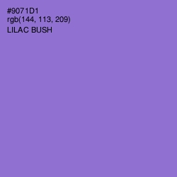 #9071D1 - Lilac Bush Color Image