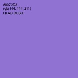 #9072D3 - Lilac Bush Color Image