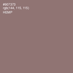 #907373 - Hemp Color Image