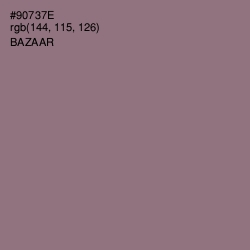 #90737E - Bazaar Color Image