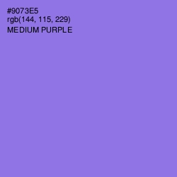 #9073E5 - Medium Purple Color Image