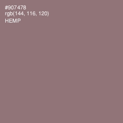 #907478 - Hemp Color Image