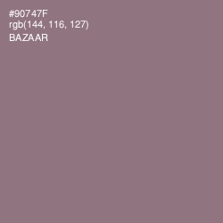 #90747F - Bazaar Color Image