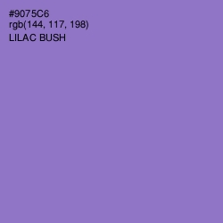 #9075C6 - Lilac Bush Color Image
