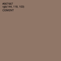 #907667 - Cement Color Image