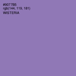 #9077B5 - Wisteria Color Image