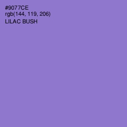 #9077CE - Lilac Bush Color Image