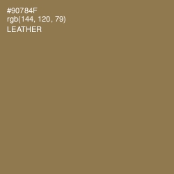 #90784F - Leather Color Image