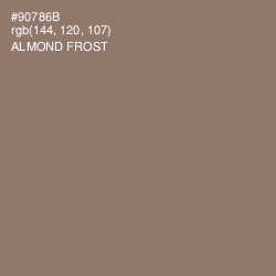 #90786B - Almond Frost Color Image