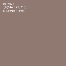 #907971 - Almond Frost Color Image